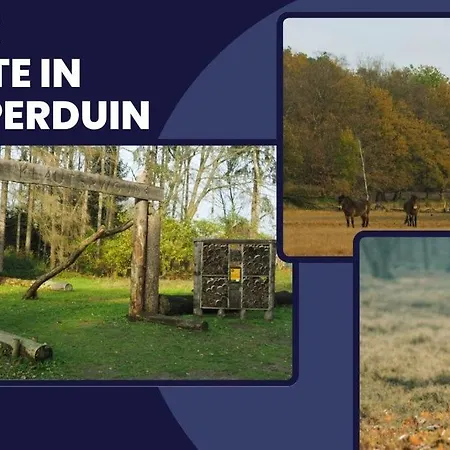 Relaxing Suite, Nearby, Free Parking & Airco *