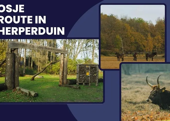 Relaxing Suite, Nearby, Free Parking & Airco *